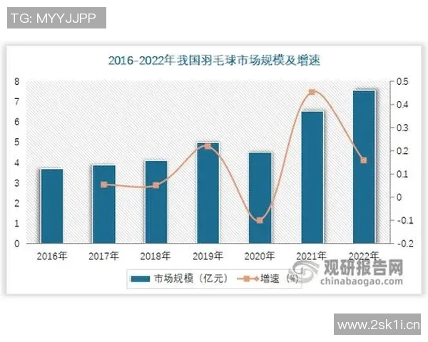 杭州羽毛球队力量表现的数据分析与提升策略探讨